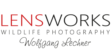 Lensworks